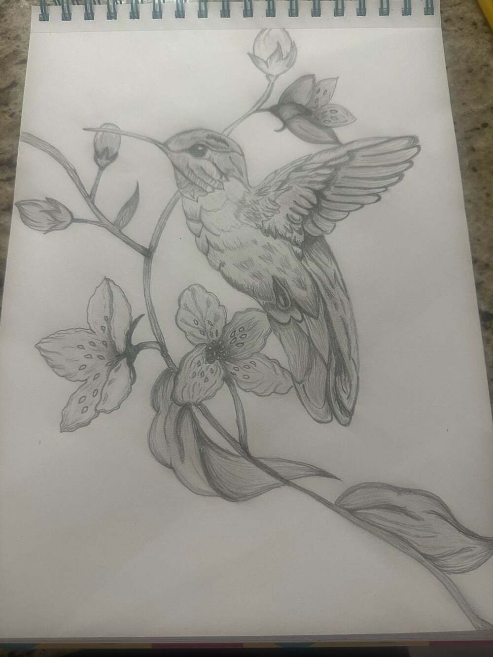 Original Hummingbird and Floral Pencil Sketch Art